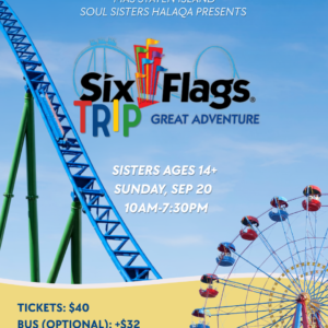 Six Flags Trip